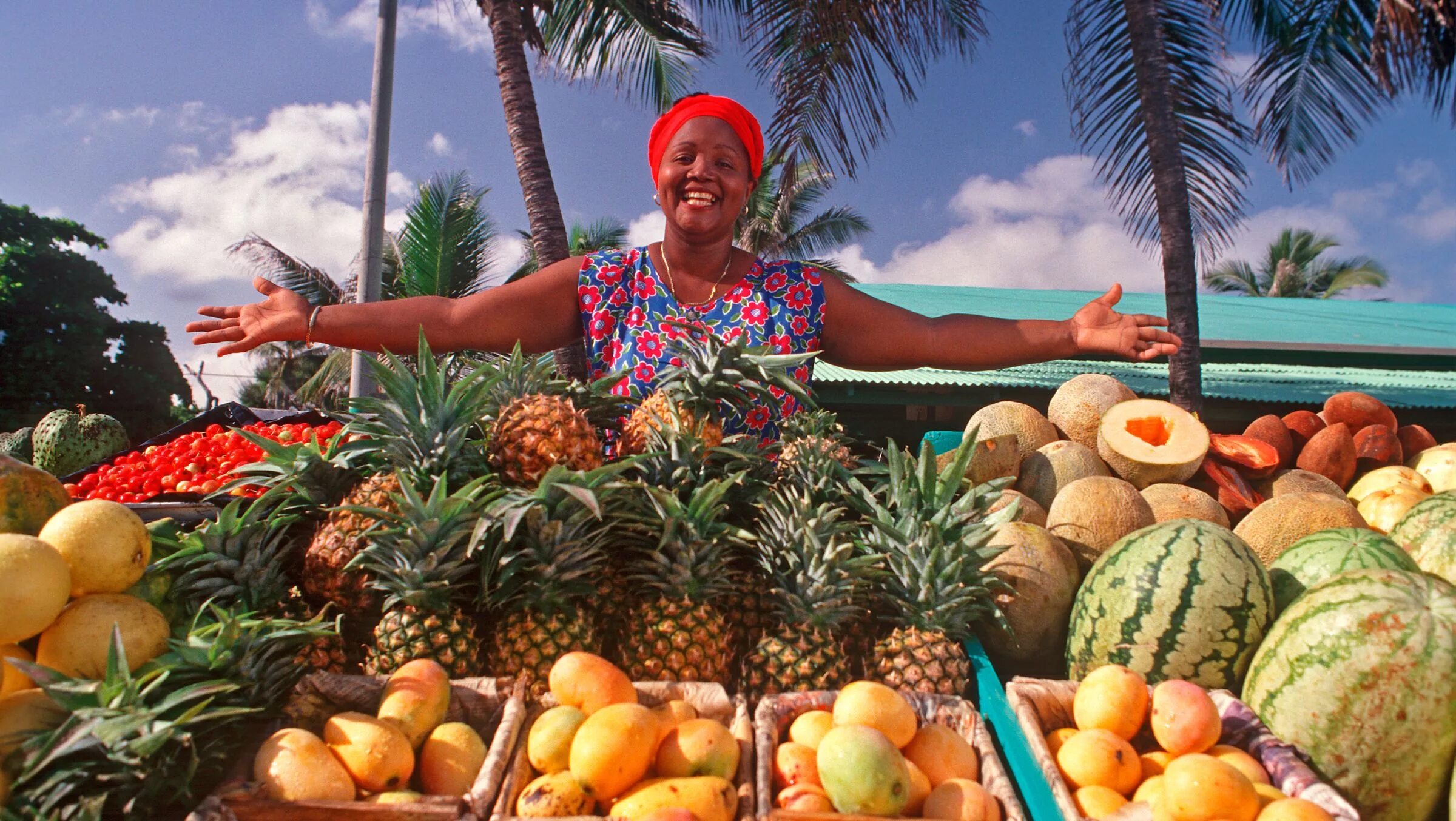 Экзотических путешествий. Доминиканская Республика хозяйство. Тропические фрукты. Доминиканские фрукты. Сельское хозяйство Ямайки.