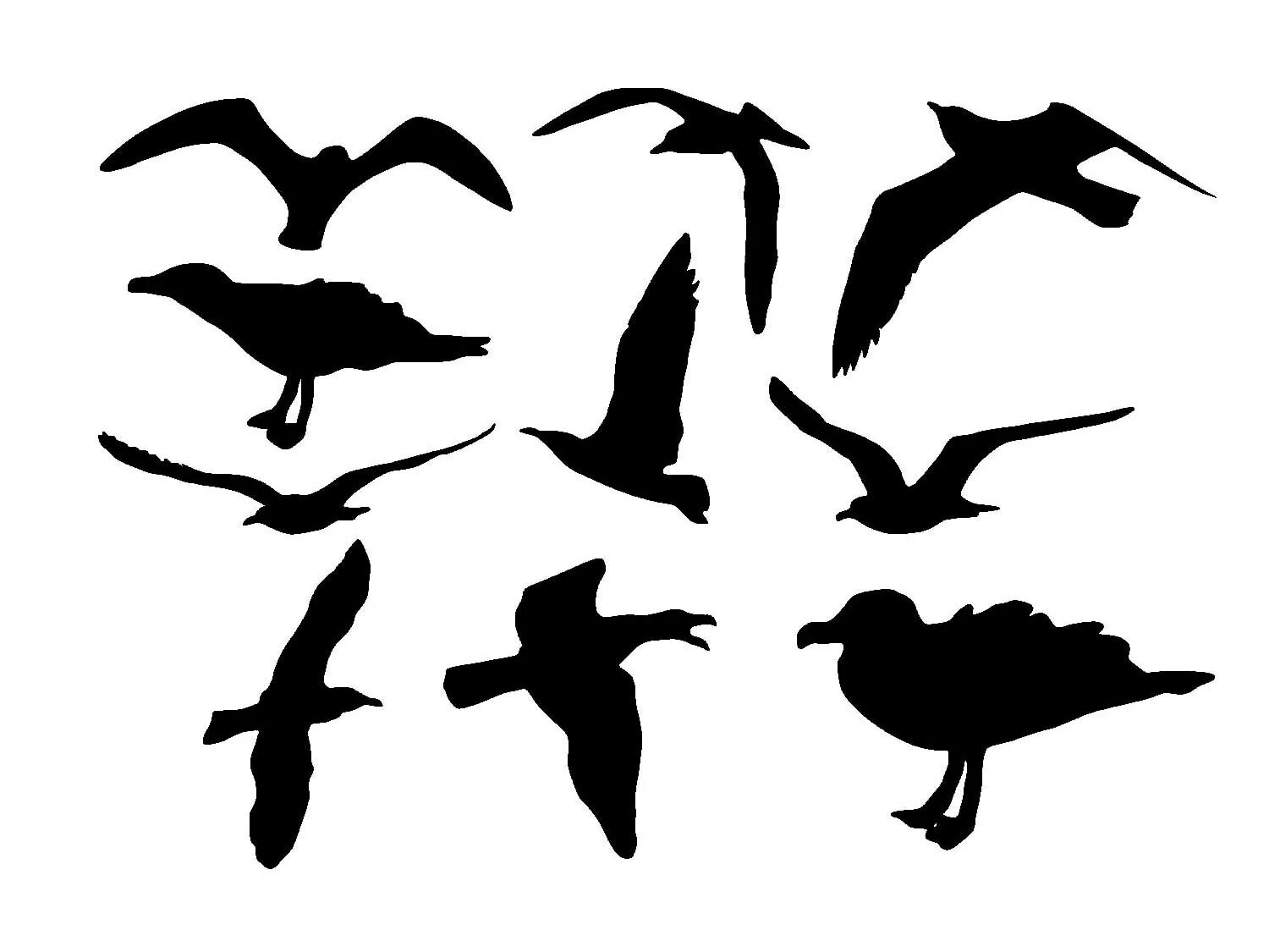 Чайки трафарет для вырезания. Трафарет чайки. Силуэты чаек. Силуэты чаек. Трафареты чаек.