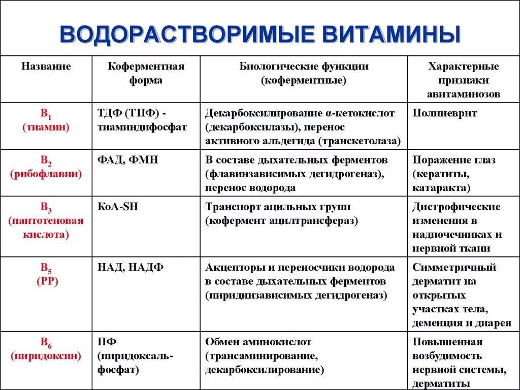Витамины функции источники таблица. Функции водорастворимых витаминов. водорастворимые витамины и жирорастворимые витамины таблица. основная функциональная роль водорастворимых витаминов. водорастворимые витамины таблица функции.