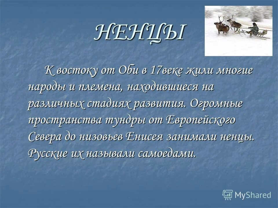 Промысловая охота у разных народов сообщение. Ненцы презентация. Промысловая охота у разных народов России. Доклад ненцы кратко.