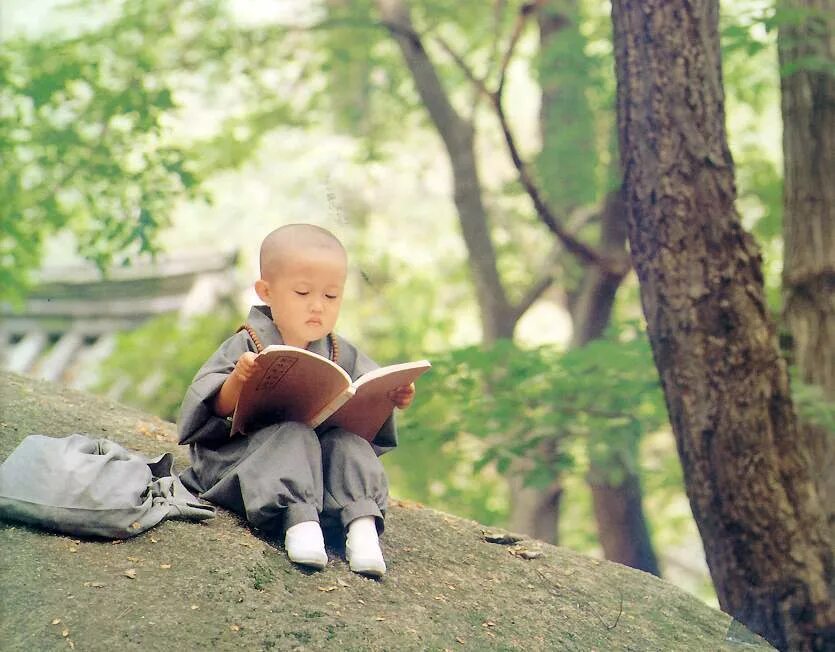 Высказывания о подростках мудрые. Мудрость у подростка. Человеческое познание. Очень мудрые слова. Мудрость у подростка.