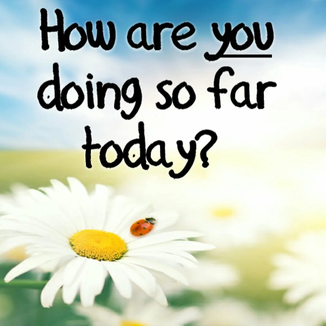 How are you doing. How are you?. How are you doing today как отвечать. How are you doing today перевод.