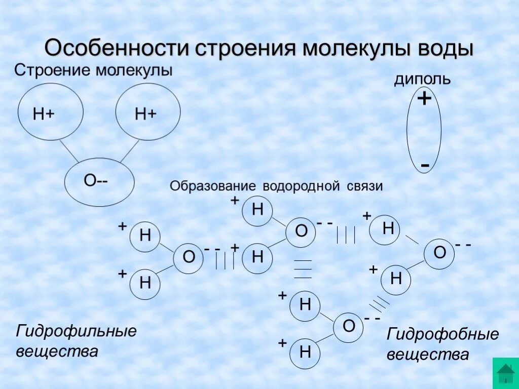 Вода биология 10. Схема структуры молекулы воды. Молекулы в жидкостях особенности строения. Особенности строения молекулы воды. Строение молекулы воды схема.