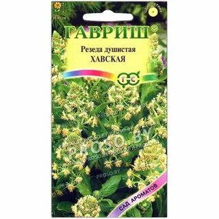 Душистая 22