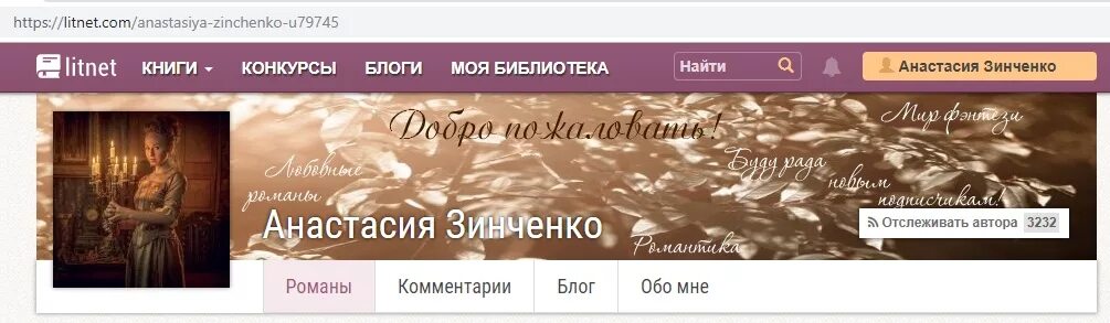 Лит нет. Размер баннера литнет. моя библиотека на литнет. рекламный баннер литнет. литнет библиотека читать.