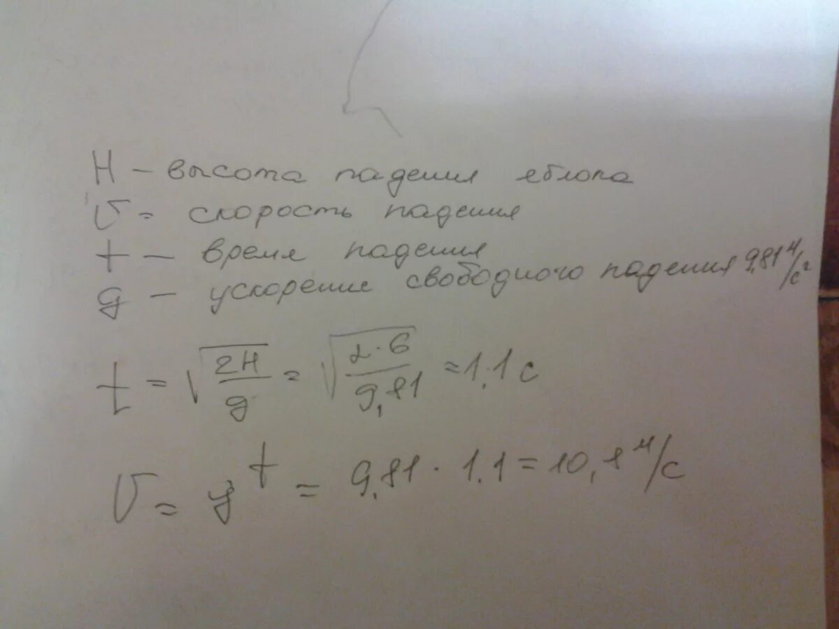 С яблони с высоты 5