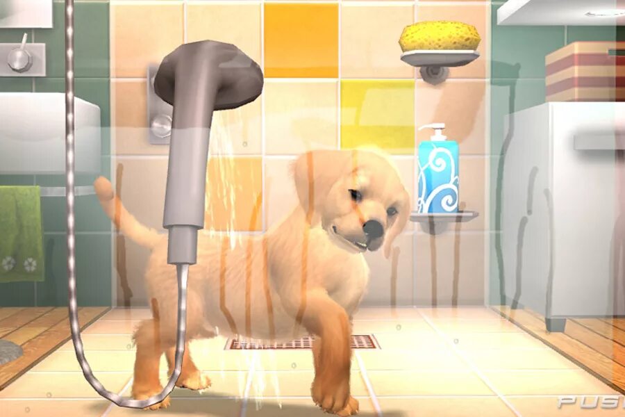 Включи видео игра животных. Игра про собачку. игра для щенка. игра ухаживание за собакой.