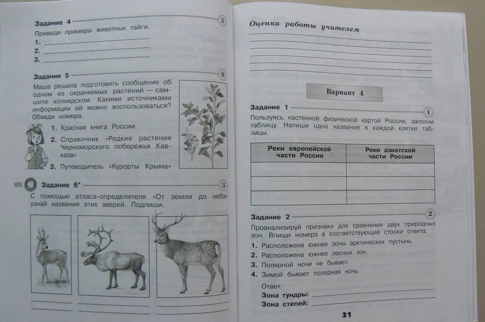 Проверочная работа по растительному сообществу. Окружающий мир проверочные. Окружающий мир прововерачная. Проверочная по окружающему миру 4 класс. Контрольные 4 классы окружающий мир.