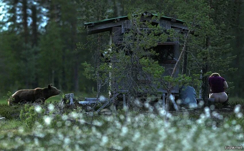 Демотиватор это. Лучшие демотиваторы. лучшие демотиваторы смешные. демотиваторы про лес. демотиваторы фото.