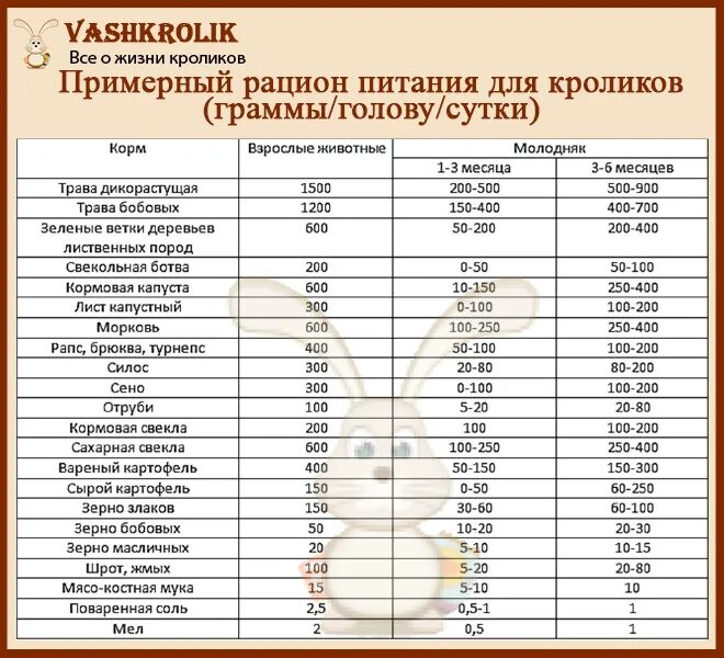 Сколько кормить кролика. Рацион корма для кроликов. Рационтпитания для кроликов. Рацион кормления кроликов. Рацион питания для кроликов на сутки.