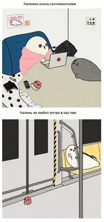 Слушать я тюлень