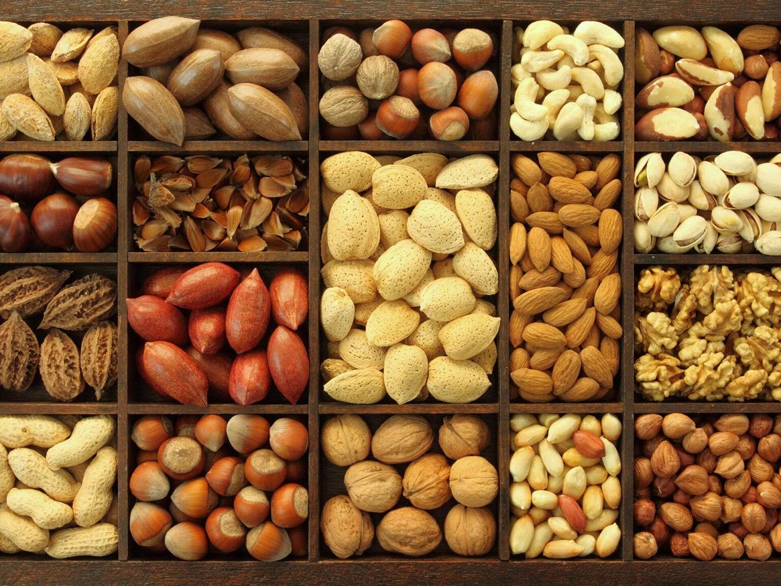 Съедобные орехи. Зерна и орехи. Афлатоксин в1. Орехи. Ассорти из орехов.
