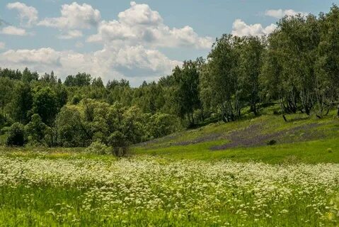 Бежином луге