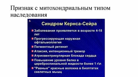 Митохондриальное наследование
