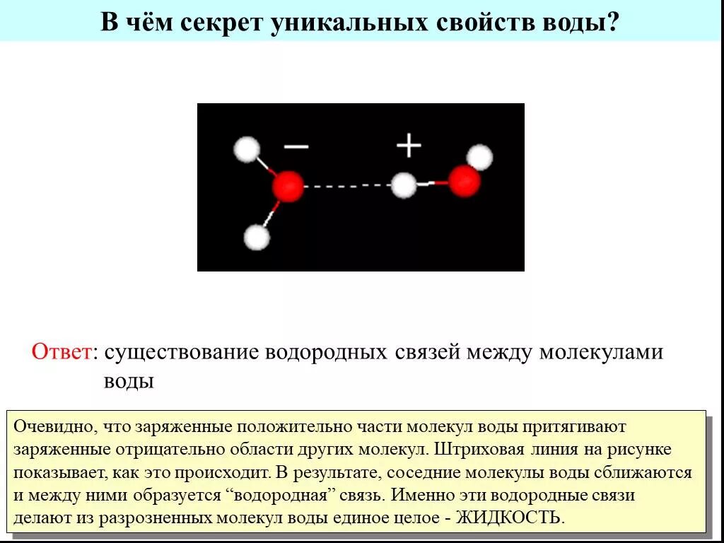 Между молекулами воды существуют связи. Водородная связь между молекулами воды. Заряд молекулы воды. Водородная связь между молекулами глицерина. Между молекулами существует ответ.