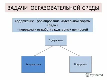 Какие формы видеоролика