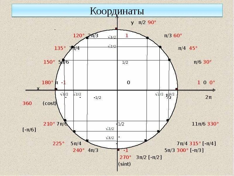 Найти градусы на окружности