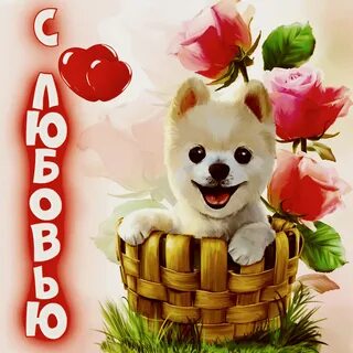 Открытки картинки просто