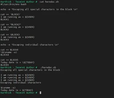 Bash echo
