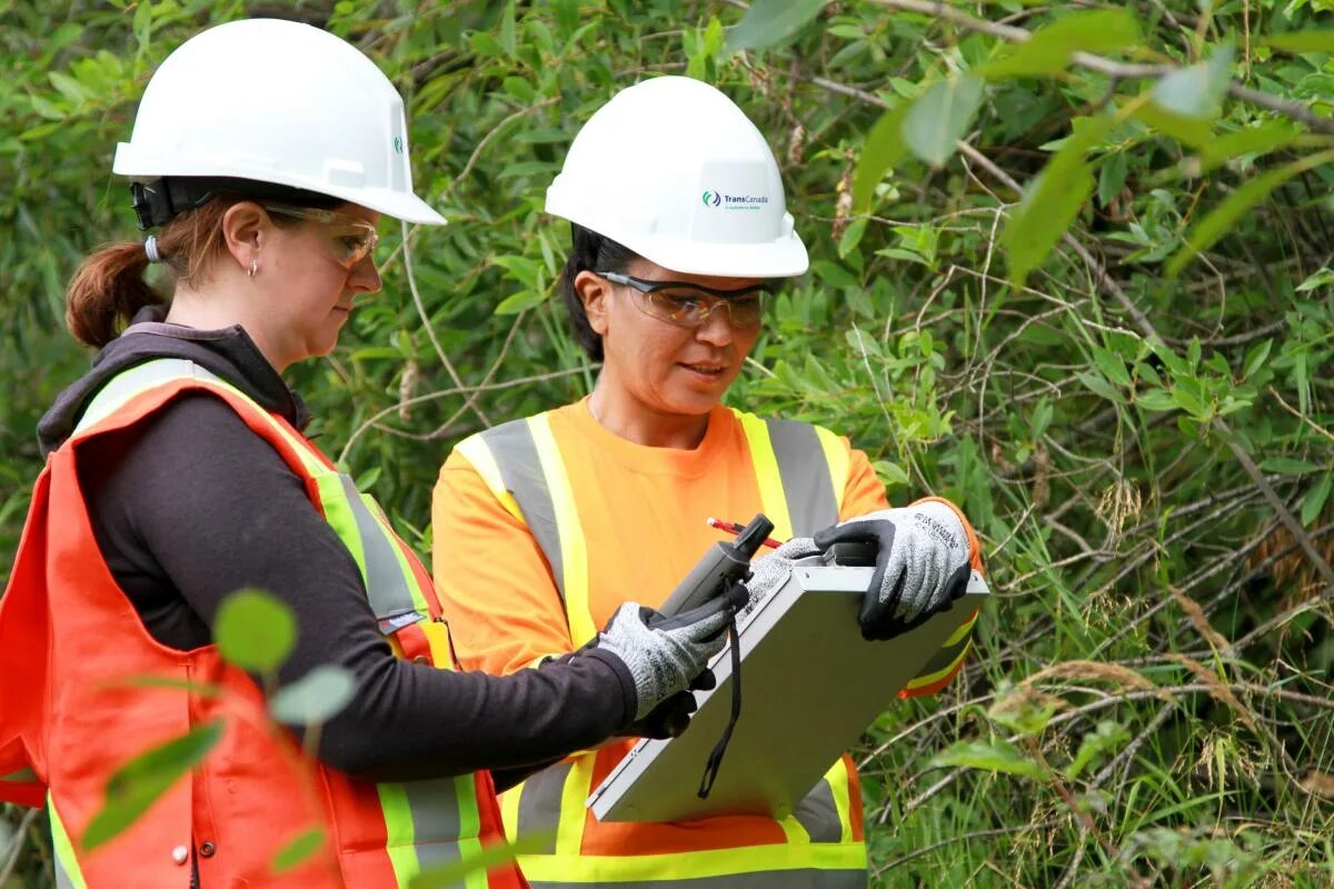 Looking after the environment
