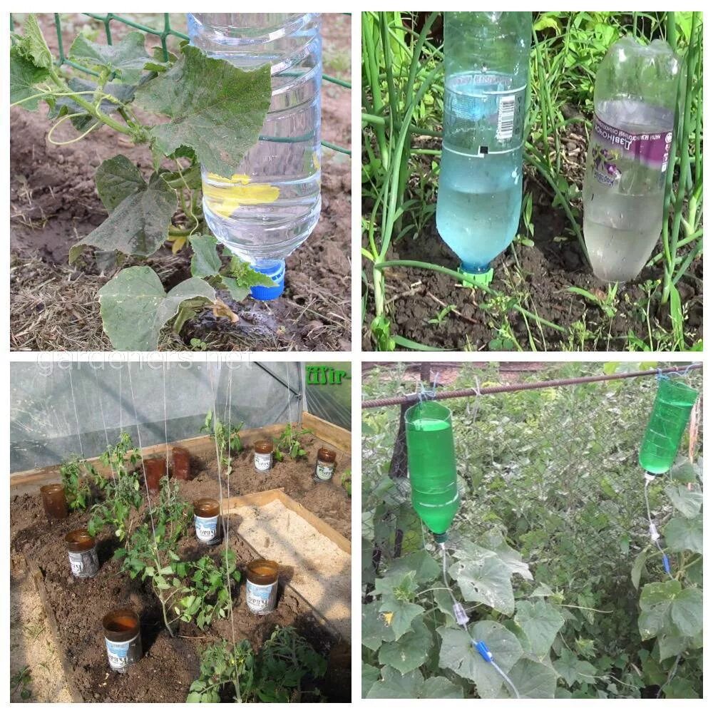 Капельный полив огурцов из бутылок. Пластиковые бутылки для полива грядок. Автополив для огорода. Как сделать бутылки для полива в теплице. Капельный полив из бутылки.