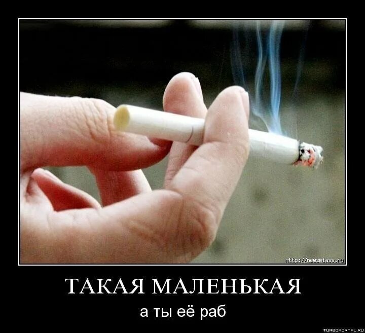 курильщик демотиватор. карикатуры о вреде курения. карикатуры смешные. смешные сигареты. курильщик демотиватор.