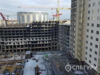 Невская звезда отзывы