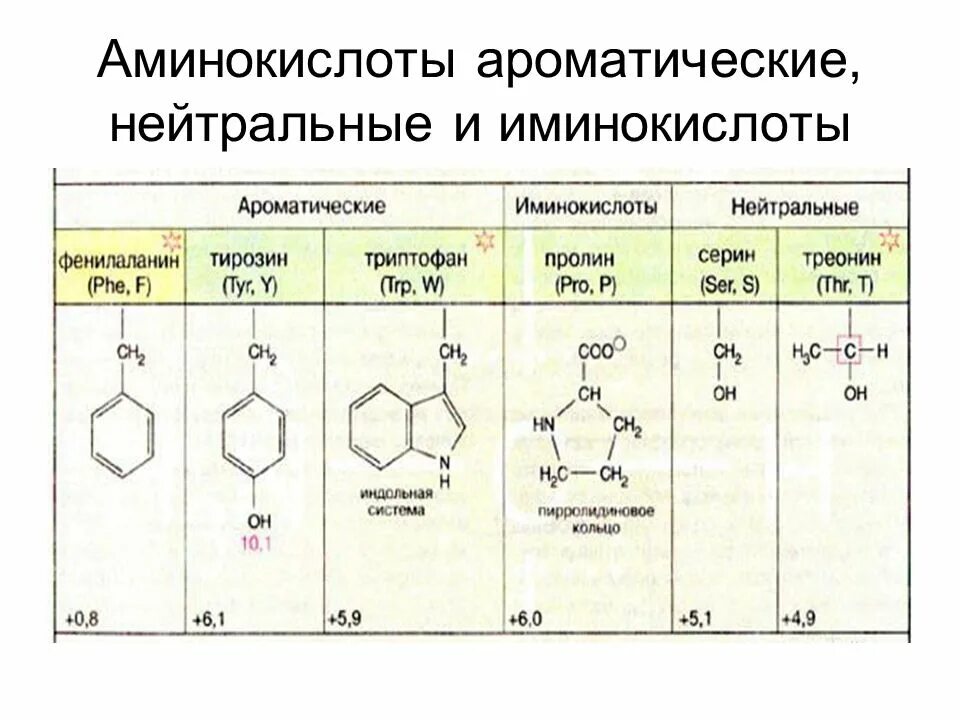 Выберите аминокислоту. Классификация аминокислот по природе радикала. Альфа аминокислоты формулы. Глицин аланин серин формула. Аминокислоты входят в состав.