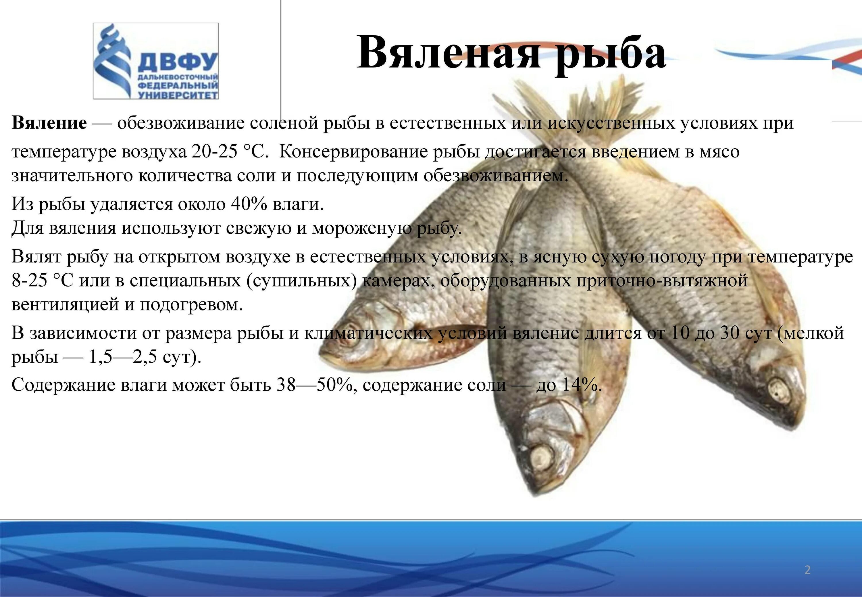 Рыба хранится при температуре. Срок хранения вяленой рыбы. сроки хранения сушеной рыбы. вяленая рыба характеристика. срок хранения копченой рыбы.