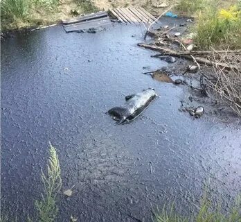 Смол жив