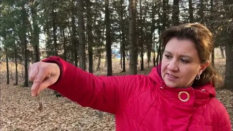 Гусариха дзен последнее 860