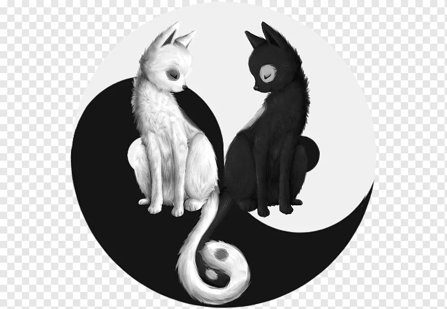 Котик инь. Инь янь аниме. коты инь янь. инь янь арт. инь янь в виде животных.