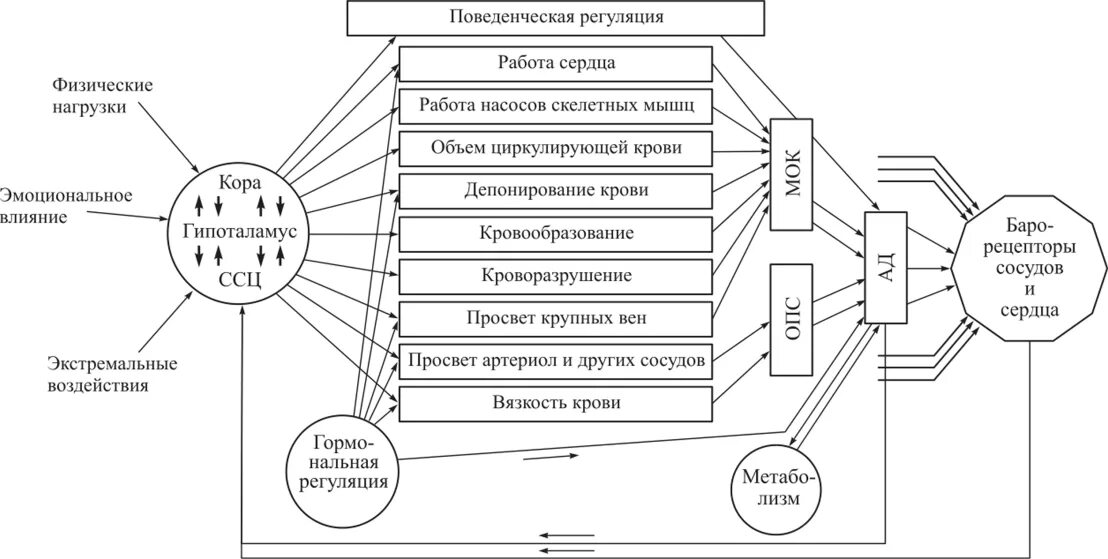 Функциональная система поддержания осмотического давления крови. Функциональная система поддерживающая осмотическое давление крови. Функциональная система регуляции артериального давления. Схема функциональной системы регуляции артериального давления.