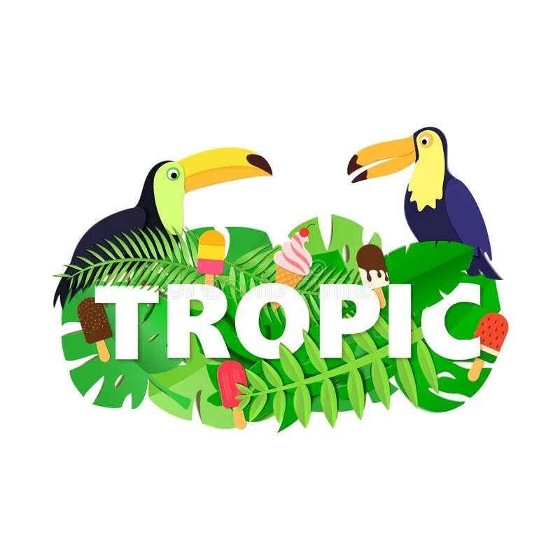 Тропики слово. Набор тропических слов. Tropical Words. Тропические слова бренды.