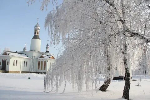 7 иней