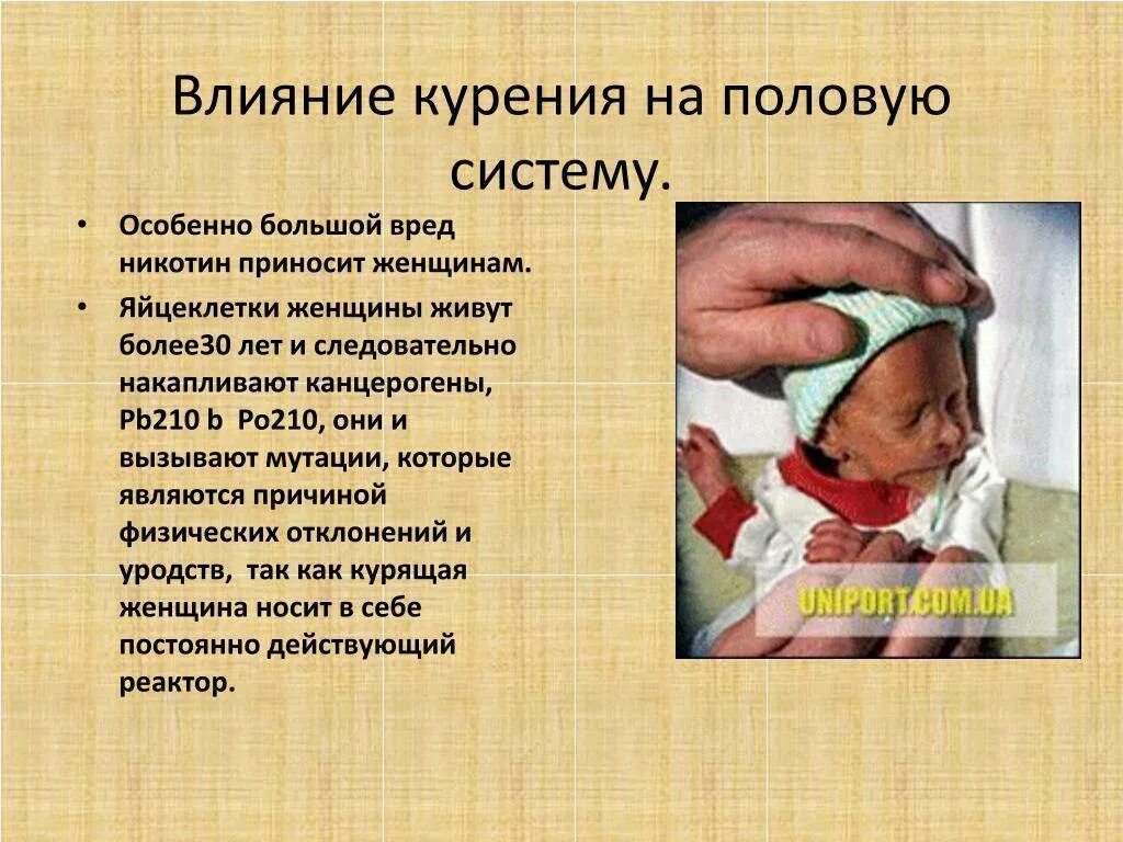 Кормление грудью. Правильное положение при кормлении новорожденного грудным молоком. Грудное вскармливание клинические рекомендации. Последствия отказа от грудного вскармливания. Влияние курящей матери на плод.