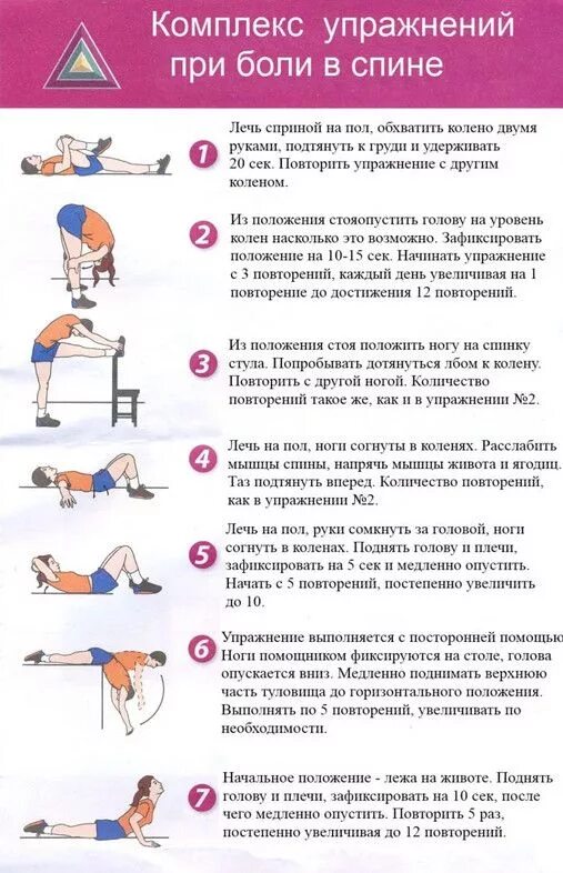 Программа тренировок на спину. День спины какие упражнения. Программа тренировок на бицепс. Упражнения на спину. Упражнения для спины для укрепления мышц спины.
