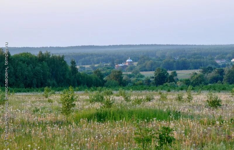 Волковичи Заокский район Тульская область. Покровское Заокский район Тульская область. Страхово Тульская область Заокский район. Заокский район храм Покрова Пресвятой Богородицы село Волковичи.