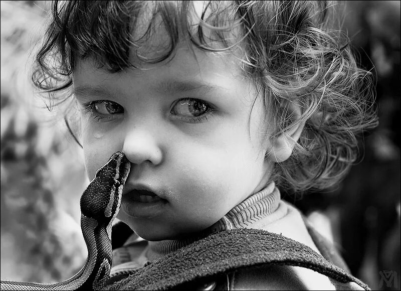 загадочные мальчики