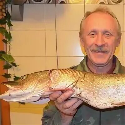 Мочальников