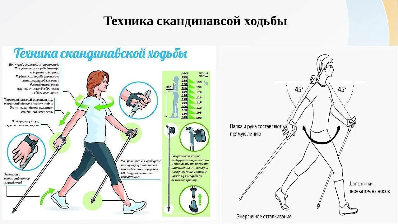 Техника скандинавской ходьбы пошагово