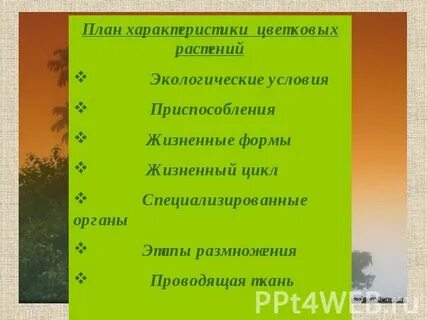 Характер края