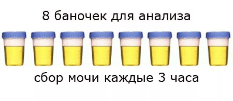 Памятка для пациента по правилам сбора мочи по Зимницкому. Сбор мочи по Зимницкому подготовка пациента к исследованию. Подготовка пациента к сдаче мочи по Зимницкому. Памятка сбор мочи по Зимницкому. Сколько надо мочить