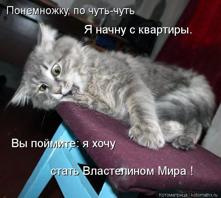 понемногу или по-немногу как пишется. понемножку как пишется. всем понемножку. понемножку как пишется. хорошего понемногу.