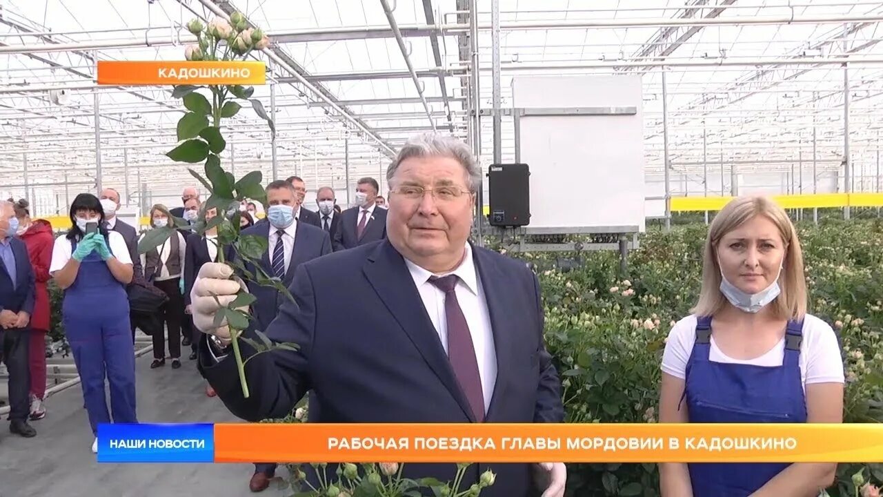 Кадошкино саранск. Кадошкино мордовия. Кадошкино теплица роз. Погода в кадошкино днем. Кадошкино.