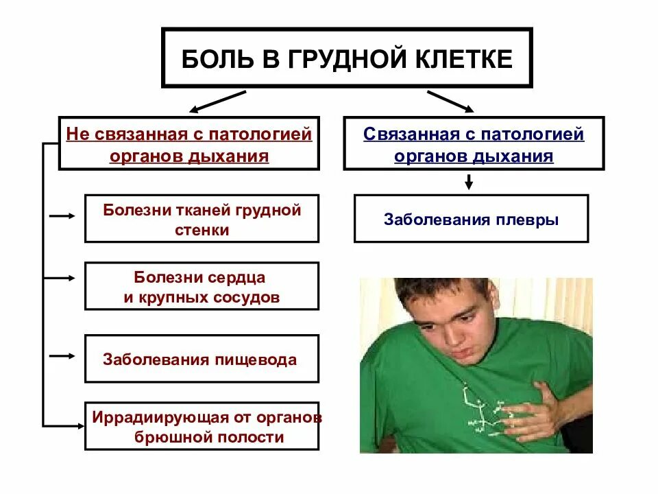 Больно дышать в грудной клетке при вдохе. Боль в грудной клетке. Доли грудной клетки. Ломящие боли в грудной клетке. Дискомфорт при вдохе в грудной клетке.