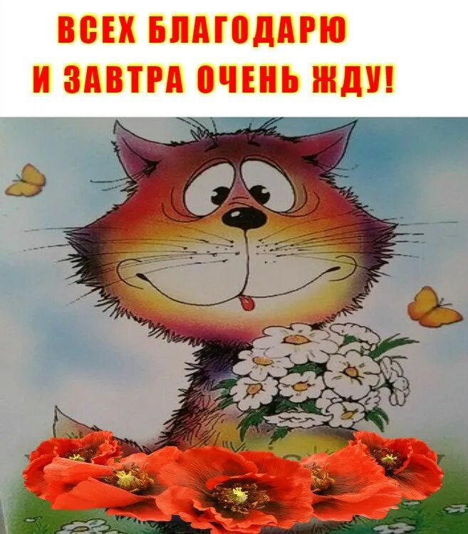 Все хорошо сам