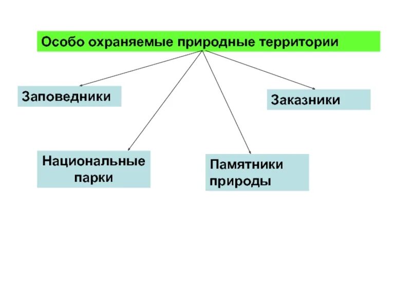 Особо охраняемые природные территории какие виды. Категории ООПТ схема. Схему: «виды особо охраняемых природных территорий». Особо охраняемые территории России схема. Схема виды охраняемых территорий.