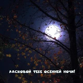 Спокойных снов осень