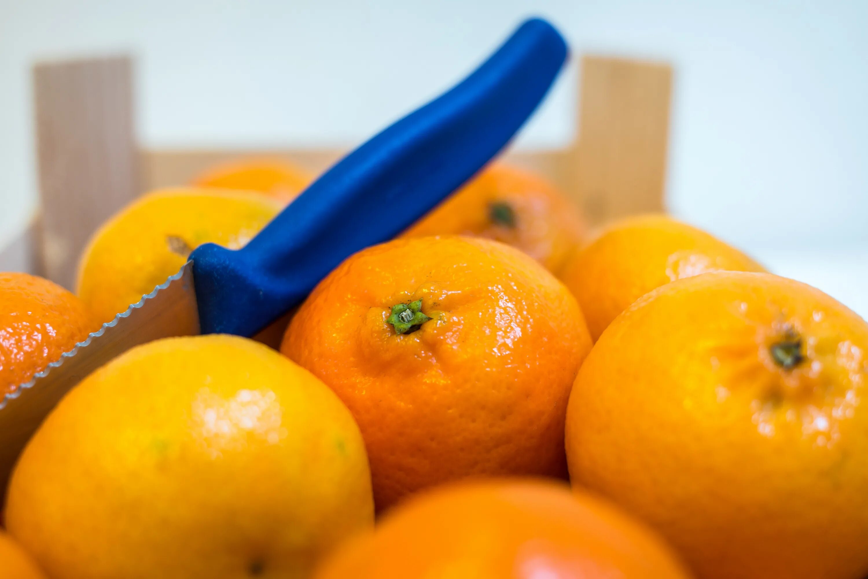 Мандарин фрукт витамины. Оранжевый фрукт. Оранжевые фрукты и овощи. Фрукты оранжевого цвета. Мандарин (фрукт).